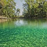 Wekiwa Springs