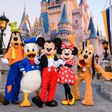 Walt Disney World® Resort