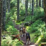 Coastal Rivers Conservation Trust
