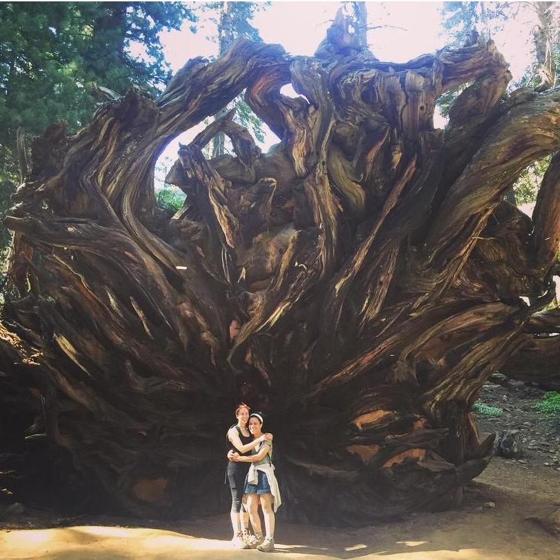 Breathing in some fresh air on a true Seltzer family vacation in the Sequoias. Our backdrop is the upturned roots from a giant redwood tree.
