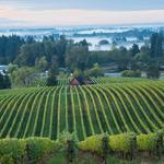 Willamette Valley Vineyards