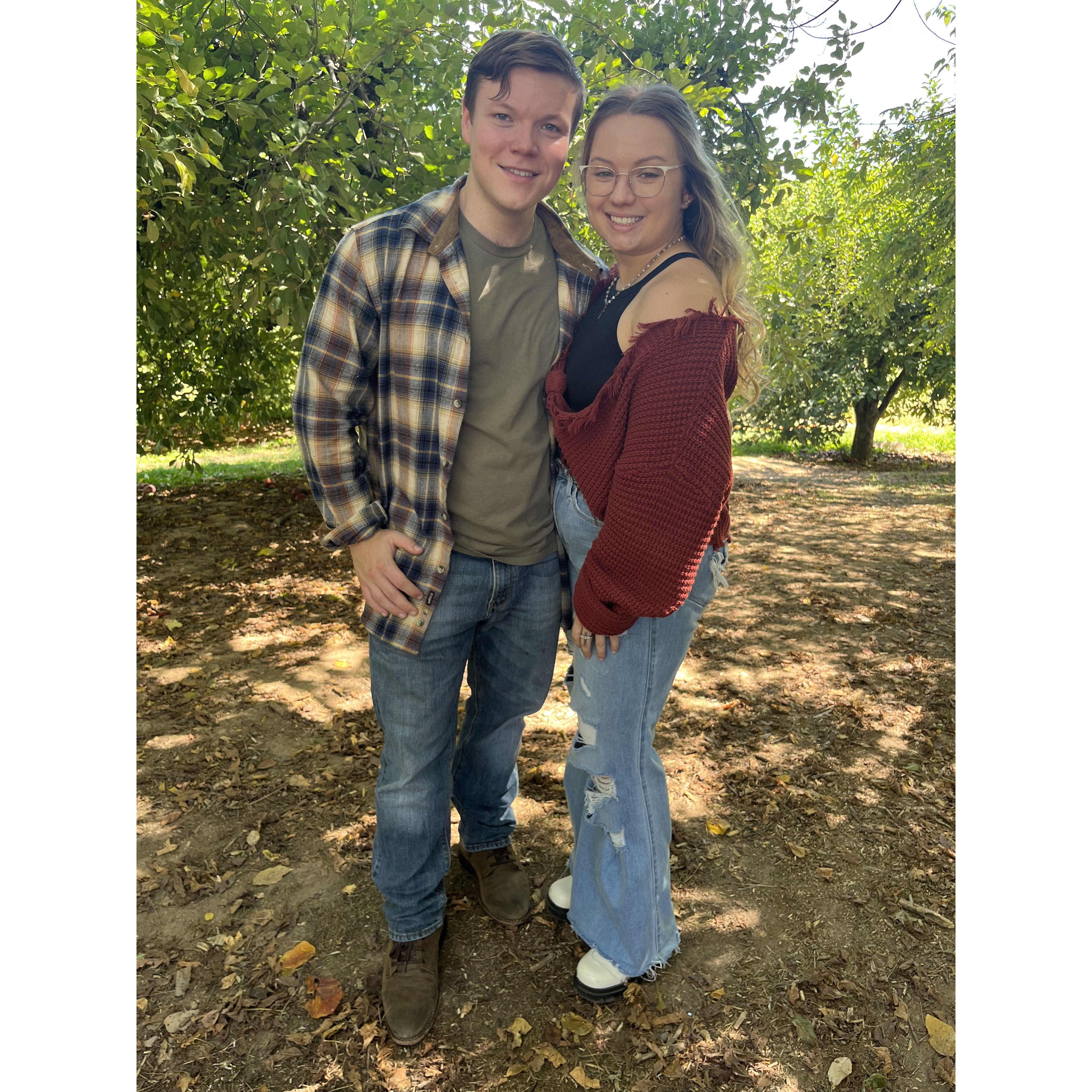 Apple Picking Delight in Ellijay | October 2023