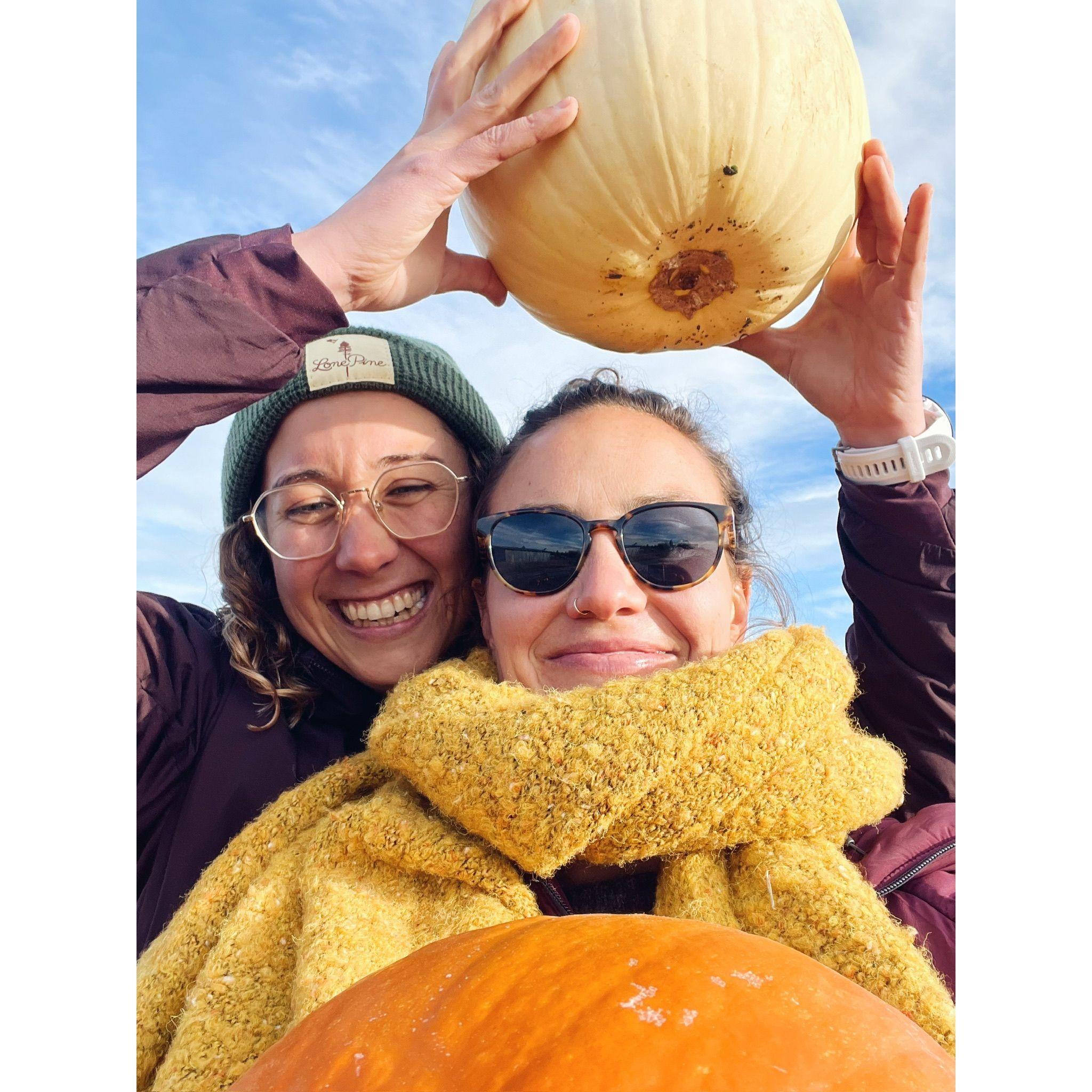 take me to the pumpkin patch!