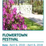 Flowertown Festival / Summerville Family YMCA