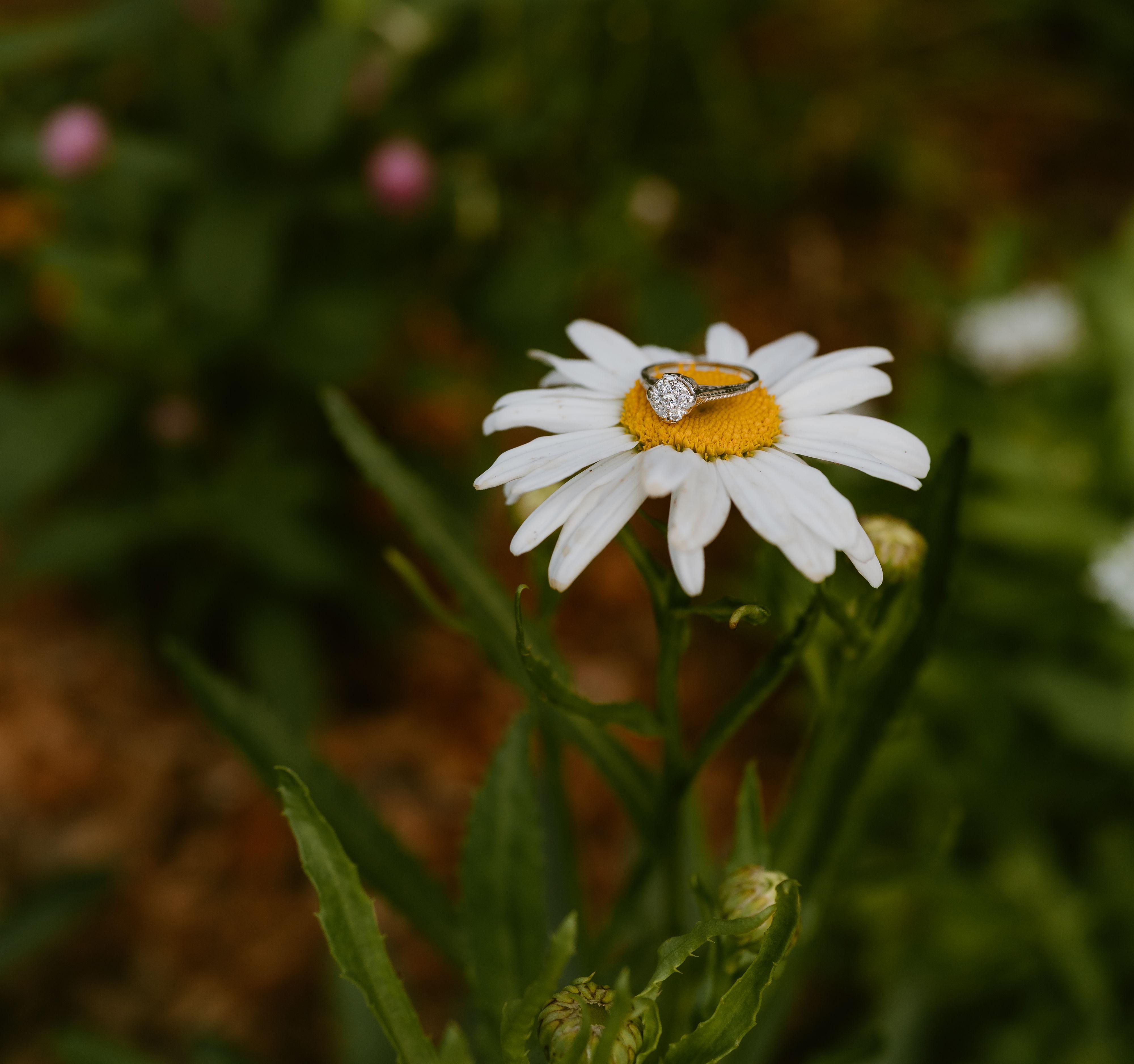 The Wedding Website of Sarah Sniffen and Christian Barth