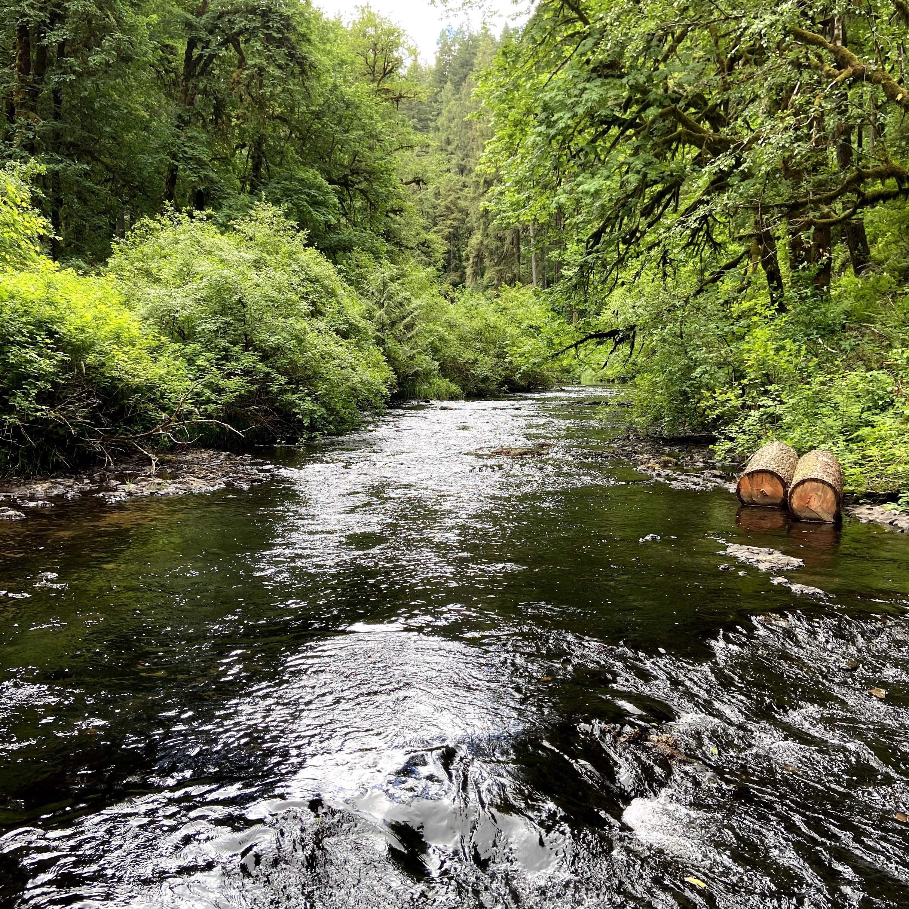 Silver Falls, Oregon