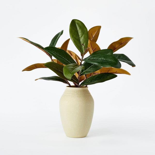 Small Magnolia Leaf Potted - Threshold™ designed with Studio McGee