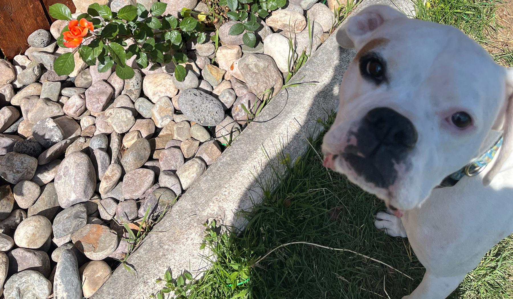 a9849cb7-e670-43df-b934-48b0c545cfc7