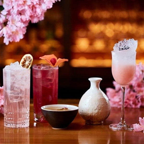 Cocktail tour around Japan (Venmo)