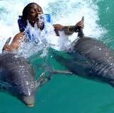 Dolphin Cove Ocho Rios