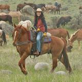Adventure Tours
