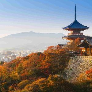 Hotel stay in Kyoto - 4 nights