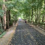 Monon Trail