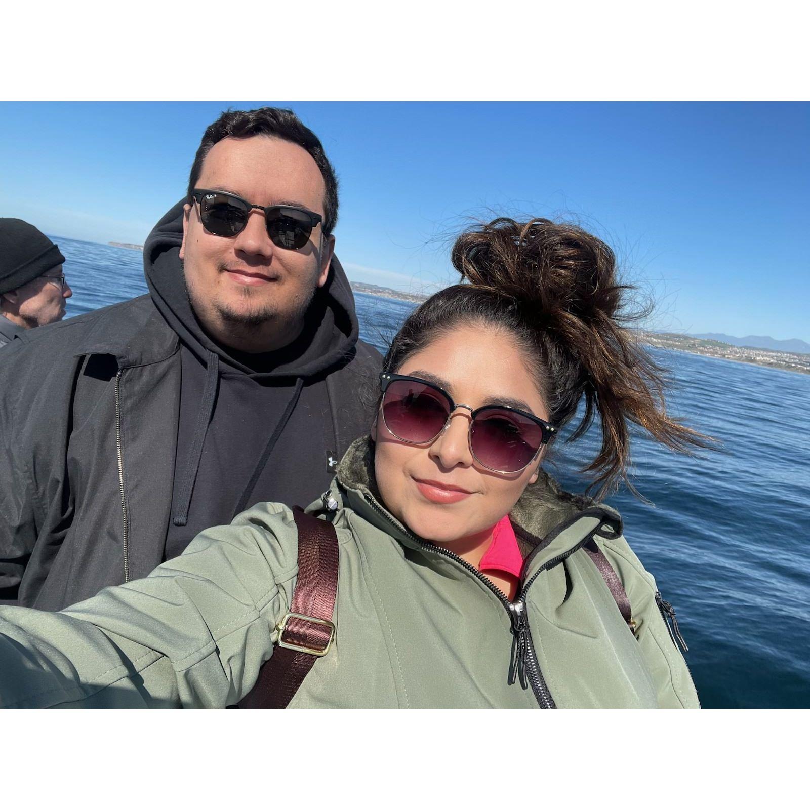 Whale watching