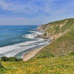 Point Reyes National Seashore