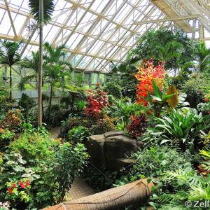 Membership to the Franklin Park Conservatory
