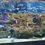 North Carolina Aquarium at Fort Fisher