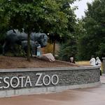 Minnesota Zoo