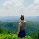 Drive the Blue Ridge Parkway