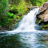 Parfrey's Glen State Natural Area