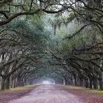 Wormsloe Historic Site