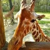 Riverbanks Zoo & Garden