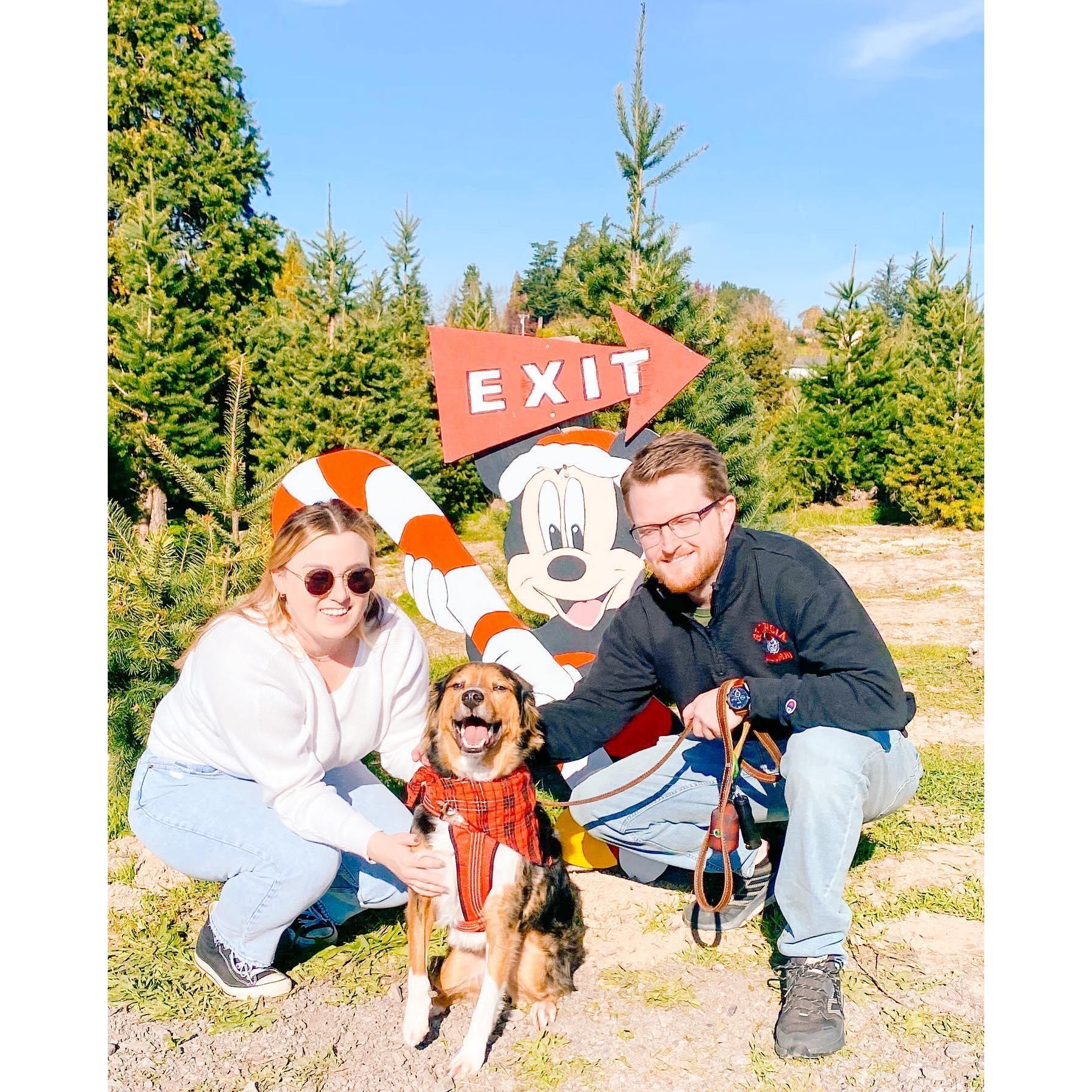 At the Christmas Tree farm with Remy!