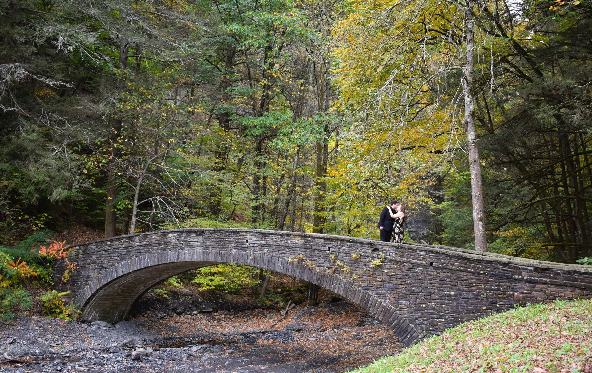 The Wedding Website of Elizabeth Bryan and Michael DeNardo