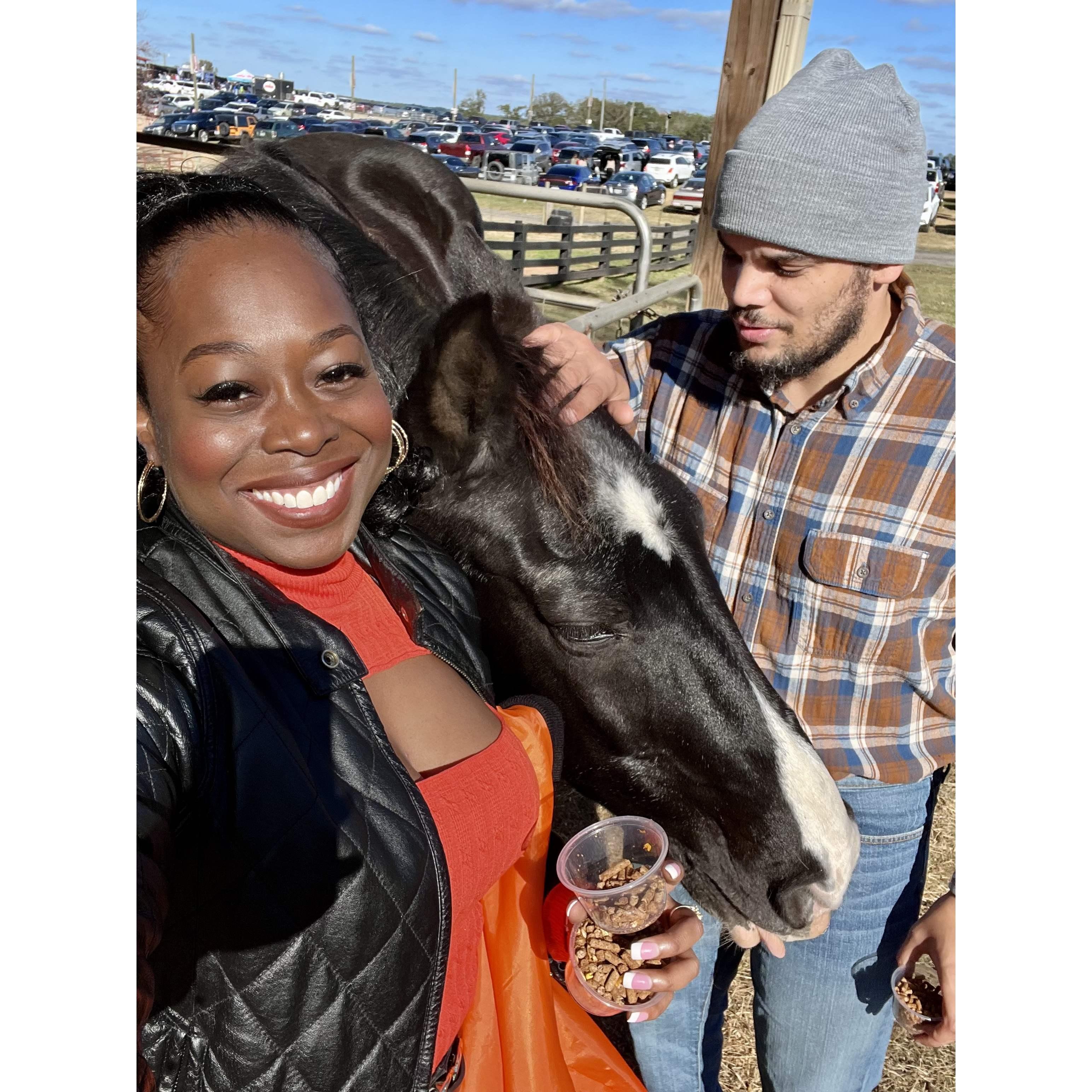 Farm day