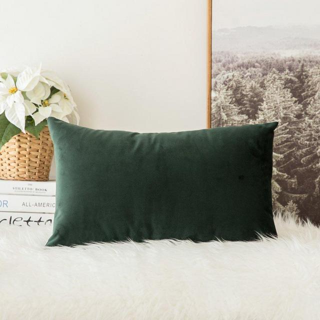 MIULEE Velvet Soft Soild Decorative Square Throw Pillow Covers Cushion Case for Sofa Bedroom Car 12 x 20 Inch 30 x 50 cm