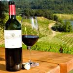 WINE TOURS AND TASTINGS