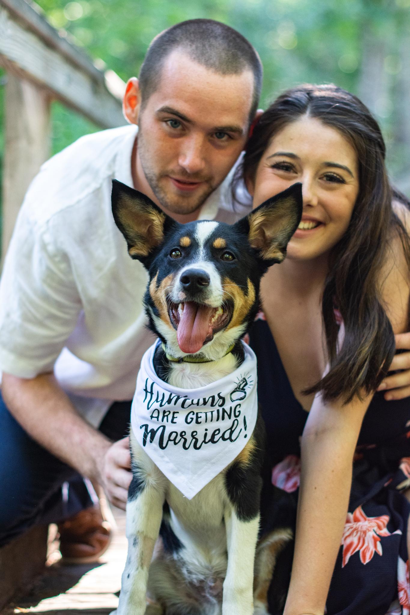 a997577d-77a4-4284-8280-b7d78b1ae2e6