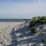 Send-Off Party at Gooseberry Beach