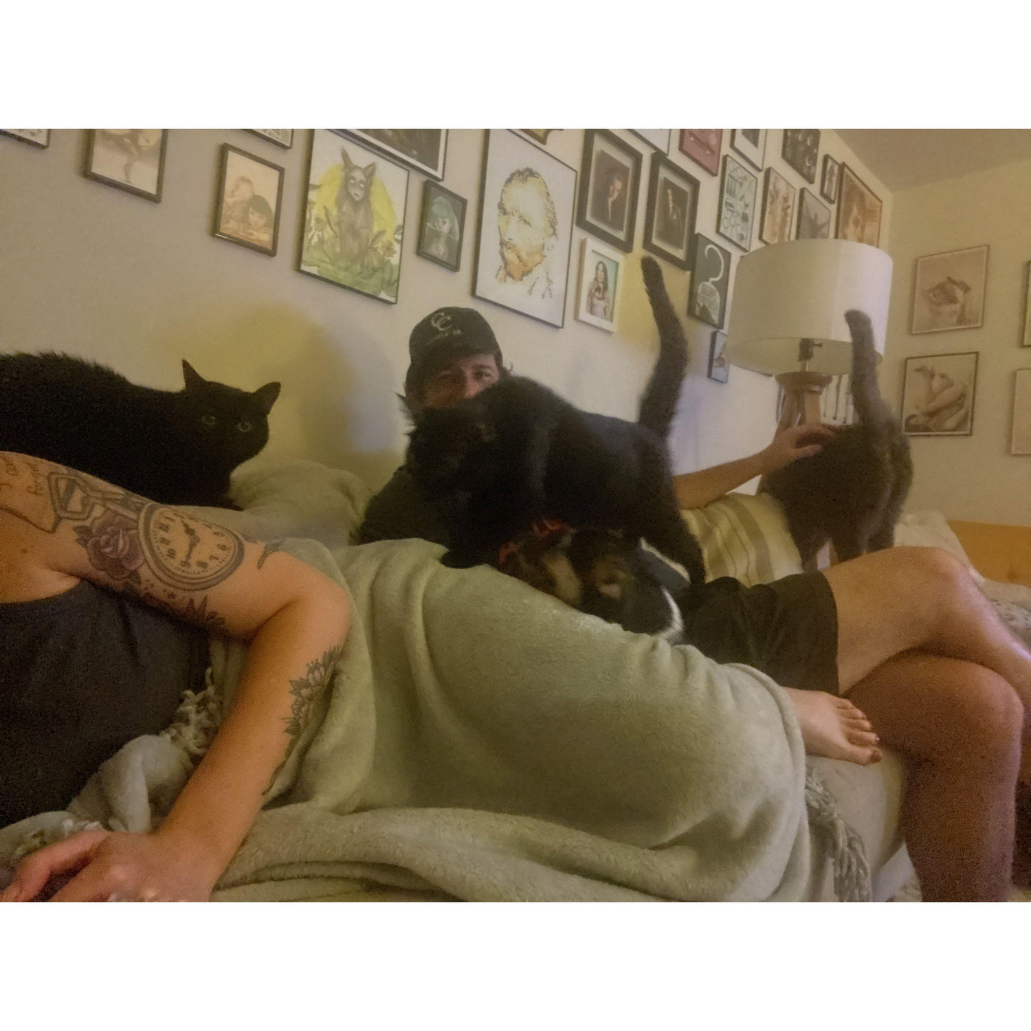 Sneak peek at what a movie night looks like at home: 2 humans, 3 cats, and 1 little dog.
