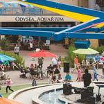Arizona Boardwalk