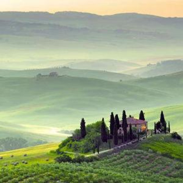 Wine Tasting in Tuscany