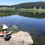 Fishing