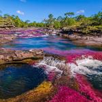 Caño Cristales