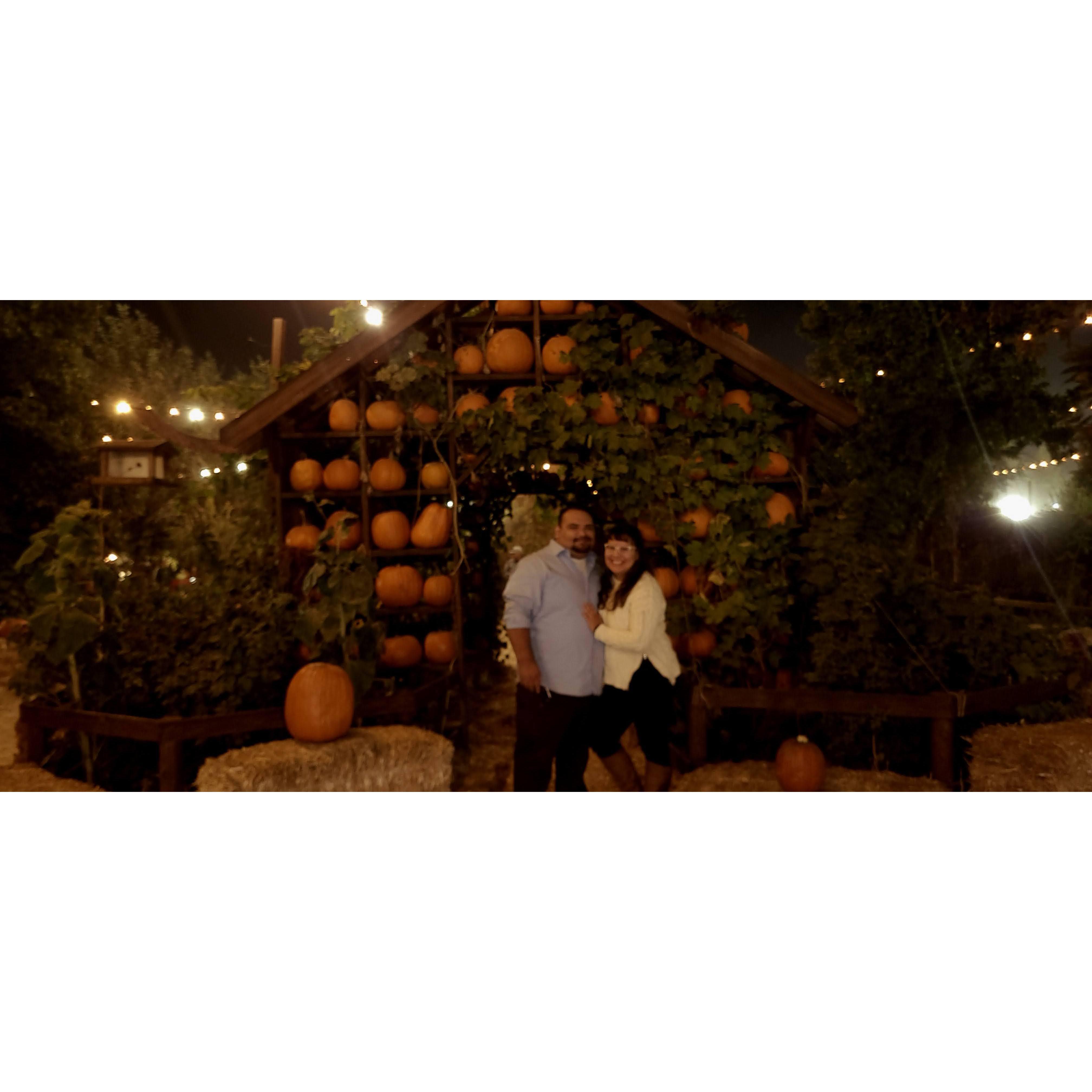 Our first pumpkin patch date!