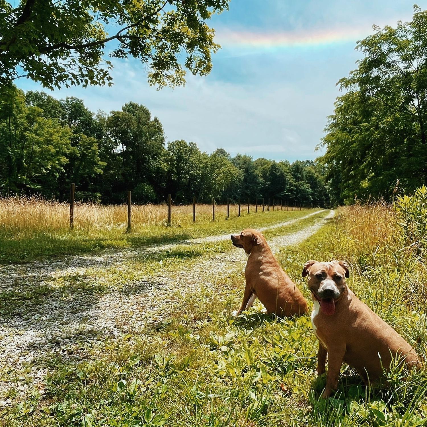 The Farm- one of our favorite places, & the backdrop for many of life’s celebrations. We’re so fortunate to welcome everyone to gather in a physical space that embodies so much of what matters to us.