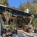 Ceremony Botanical Studio