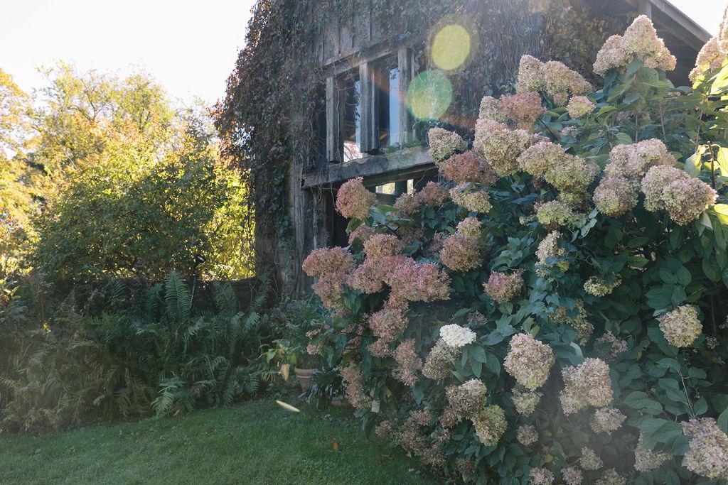 The Wedding Website of Paola Ayora and Scott Rose