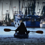 Coastal Expeditions on Shem Creek