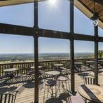 Bluemont Vineyard