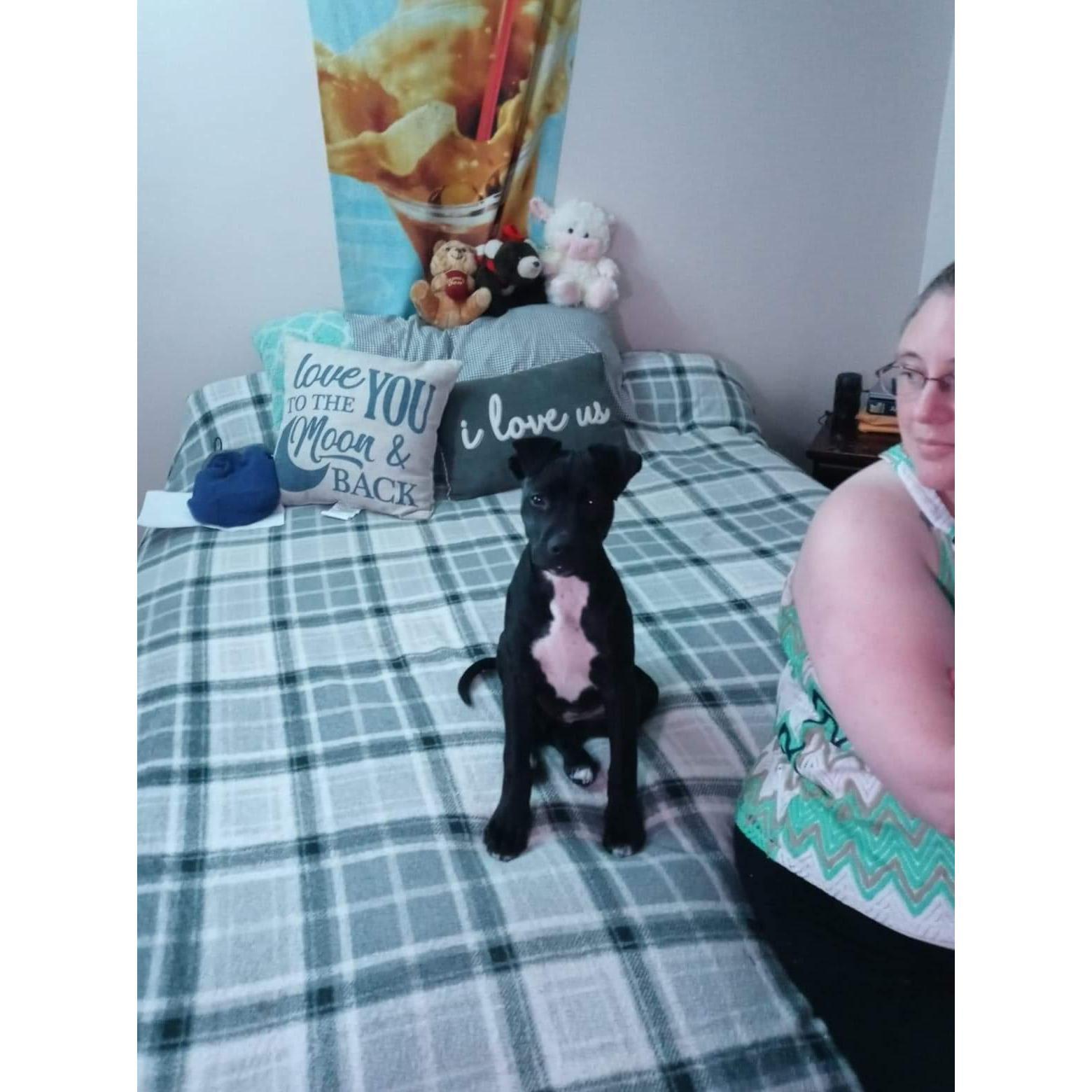 Our other baby girl, Nala