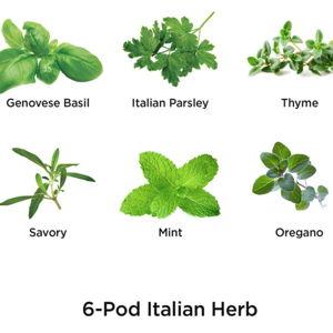 Italian Herbs Seed Pod Kit - 6-Pod