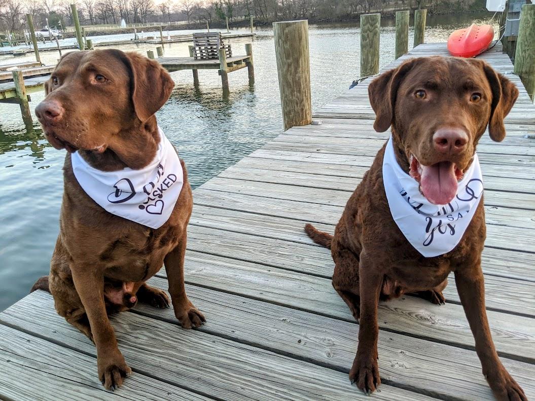 The Wedding Website of Dr. Alexandra Parra and Mr. Johnathan Mann