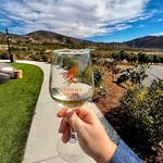Altisima Winery