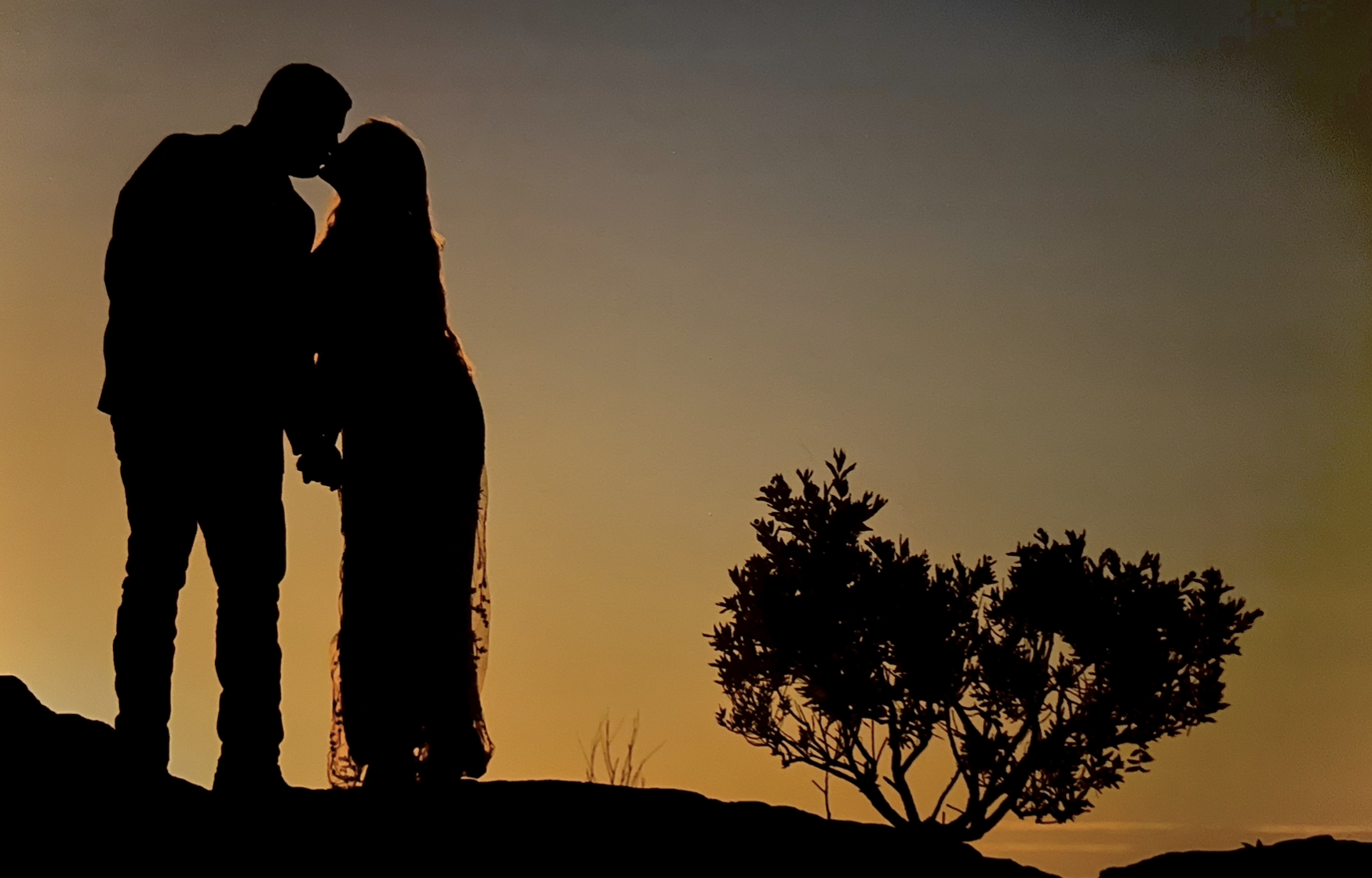 The Wedding Website of Anna Seiber and Cody Parker