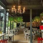Trattoria La Divina Comedia